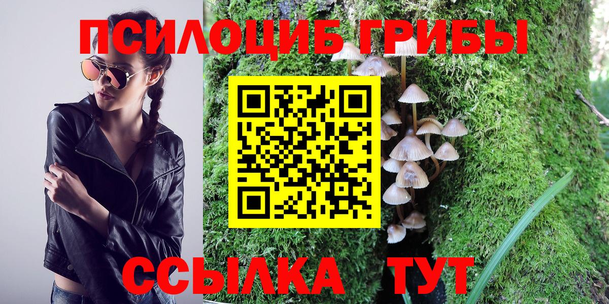 Псилоцибиновые грибы GOLDEN TEACHER  Гулькевичи 