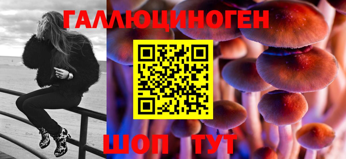 Гулькевичи  Псилоцибиновые грибы мухоморы  Вход с VPN 