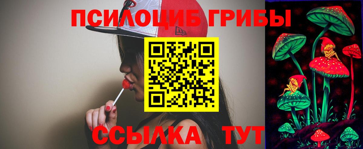 Галлюциногенные грибы Psilocybe Гулькевичи